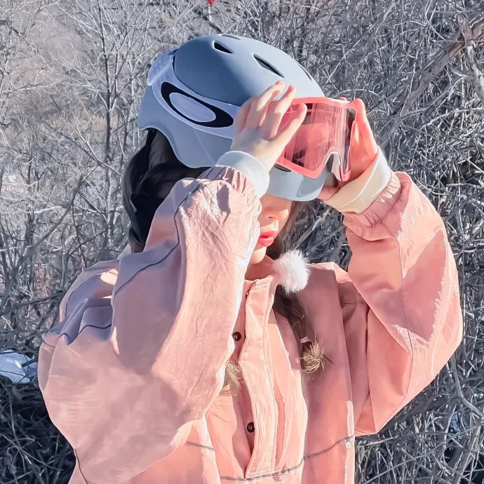 藏獒多吉